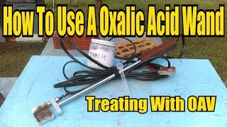 How To Use A Oxalic Acid Wand Treating With OAV [upl. by Kathlene936]