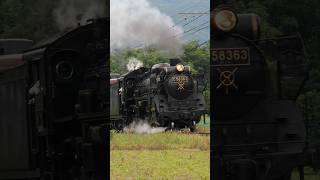 【4K縦動画】C58363 門鉄デフ！秩父鉄道・SLパレオ 樋口ストレート ChichibuRailway Steam locomotive Class C58 quotPALEO EXPRESSquot [upl. by Odlopoel]