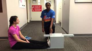 ACSM Sit amp Reach Test [upl. by Rosen796]