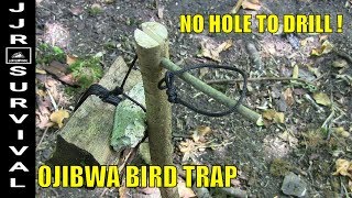 OJIBWA BIRD TRAP WITHOUT DRILLING A HOLE [upl. by Middendorf]