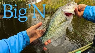 Crappie Fishing in November Made EASY for Beginners [upl. by Rednave497]