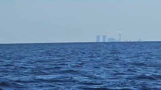 JULY 17 2024 AM SCALLOPING TOUR  SCALLOP ADVENTURES  CRYSTAL RIVER FLORIDA [upl. by Lynad]