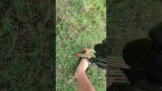 Most powerful slingshot with scope 2024slingshot  hunting birdhunting 2024 viralshorts [upl. by Power658]