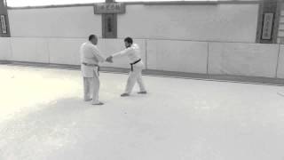 Aikido Release Chain Number 5 6 7 and 8 [upl. by Haerle896]