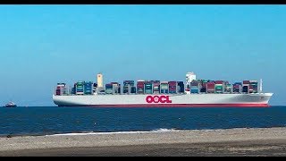 JadeWeserPort WHV  OOCL GERMANY Container Ship  IMO 9776183 [upl. by Nilrah437]