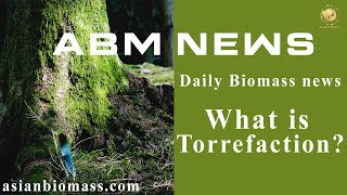 Torrefaction of biomass [upl. by Sayres639]