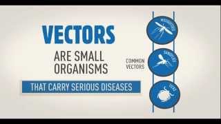 WHO Vector borne disease animation WHD2014 [upl. by Skardol]