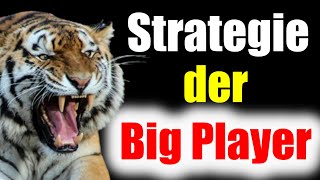 Strategie der Big Player [upl. by Ecienahs488]