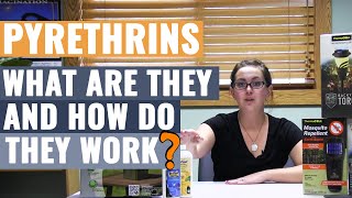 Pyrethrins  What are They and How do They Work [upl. by Suzette]