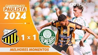 NOVORIZONTINO 1 X 1 PALMEIRAS  MELHORES MOMENTOS  CAMPEONATO PAULISTA 2024  geglobo [upl. by Ardnauqal388]