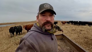 Day In The Life Of A South Dakota RANCHER [upl. by Andros107]