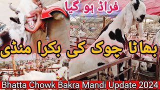 Bhatta Chowk Bakra Mandi New Update 2024 [upl. by Rekab123]