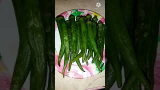 ENSALADANG OKRA  PINOY ULAM TIPS  PANLASANG PINOY  FILIPINO DISH EASY RECIPE LOIDA LOIDA LADDIT [upl. by Adnahcir]