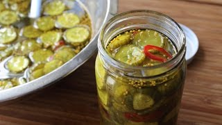 Bread amp Butter Pickles  How to Make Great DepressionStyle Sweet Pickles [upl. by Otrebilif]