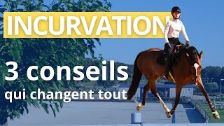 Incurvation  3 conseils pour améliorer lincurvation de son cheval [upl. by Antonie]