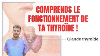 DEVELOPPEZ VOUS AVEC LES HORMONES THYROÏDIENNES T3 T4 CALCITONINE PARATHORMONE 🏌 [upl. by Oap]