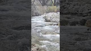 River flowing  bridge suspensionnature sound amazing view glacierwater mountain travel [upl. by Eversole]