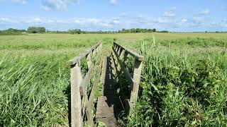 Public Footpaths in Scarisbrick [upl. by Yun]