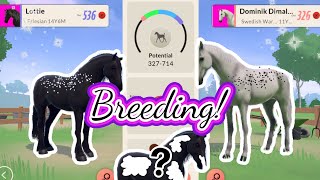 ETG BREEDING IS FINALLY HERE Equestrian the Game [upl. by Foah]