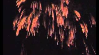 CB38F10034 Golden willow waterfall Pyrotrade Firework [upl. by Alusru973]