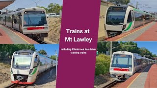 Trains at Mt Lawley Incl Ellenbrook line driver training trains [upl. by Innig]