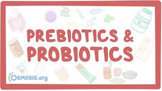 Prebiotics amp probiotics [upl. by Nehepts408]