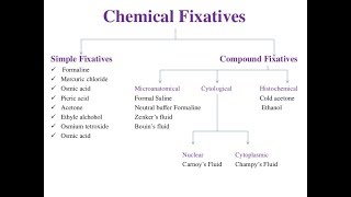 تحضير عينات Fixatives in Histopathology [upl. by Ailadgim]