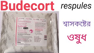 Budecort respules  Budesonide  Budecort respules Use  Dose  Side effects in Bengali [upl. by Nylazor]