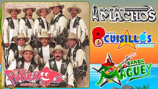 Pequeños Musical Cuisillos Machos Maguey  Banda Viejitas Pero Bonitas Romanticas del Recuerdo [upl. by Asek922]