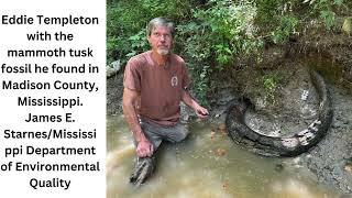 7footlong mammoth tusk found in Mississippi creek in rare discovery [upl. by Assenab]