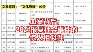 血案背后， 20起报复社会事件的 惊人相似性 [upl. by Behka]