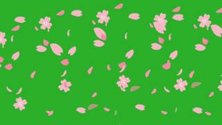 Flowers Falling Green Screen Effect Animation [upl. by Riva]