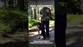 How do we Create Natural Engagement in Dog Training [upl. by Kiran]