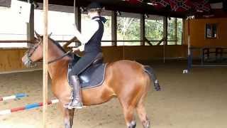 KarabaghStute Speed Trail Working Equitation 2012 [upl. by Trahurn]