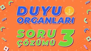 Duyu Organları Soru Çözümü 3  AYT Biyoloji [upl. by Anniken]