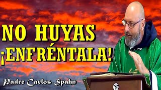 SI HUYES TE PERSEGUIRÁ  P Carlos Spahn [upl. by Aihsenot779]