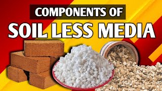 Components of Soil Less Media  पौध बनाने का आसान तरीका  Cocopeat Perlite Vermiculite [upl. by Kellen]