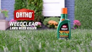 How to Use Ortho® Weed Bgon™ Lawn Weed Killer ReadyToUse  Crabgrass Control with Comport Wand® [upl. by Munafo]