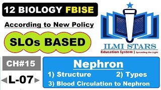 Detailed Structure of Nephron Class 12 Biology [upl. by Nugent]