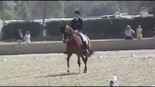 Jan Ebeling amp Rafalca Grand Prix Freestyle Dressage Burbank CDIavi [upl. by Suhpoelc]