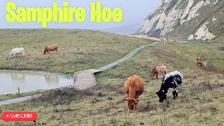 Stroll Around Samphire Hoe Kent [upl. by Marelya]