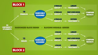 Types of Experimental Designs 33 [upl. by Channing]