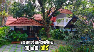 സ്വർഗ്ഗതുല്യം പച്ചപ്പ് മൂടിയ ഈ തനി മലയാളി വീട്  Traditional Style Kerala House [upl. by Sparks]