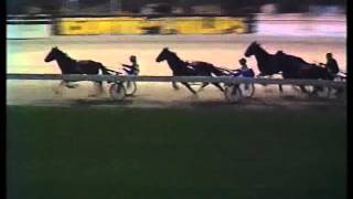 Melbourne Showgrounds trots 25 October 1980 [upl. by Aniras]