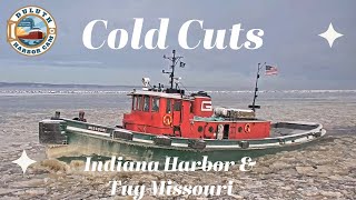 quotCold Cutsquot Indiana Harbor departed Superior 01142023 [upl. by Waylen825]