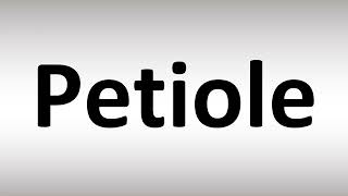 How to Pronounce Petiole [upl. by Hankins567]