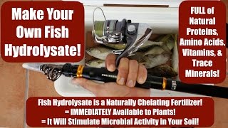 Make Your Own Fish Hydrolysate Full of Amino Acids Vitamins amp Trace Minerals for Your Soil [upl. by Nibbor]