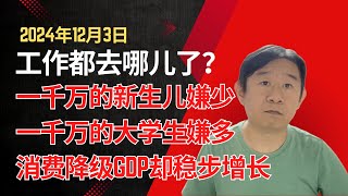 工作都去哪里了？一千万的新生儿嫌少，一千万的大学生嫌多，企业没钱，百姓没钱，消费降级，GDP却在增长，已识乾坤大，犹怜草木青 [upl. by Rattray]