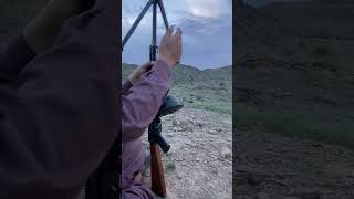 Ak74 Drum mag loaded and test fire Ak74 fire shooter short [upl. by Namielus60]