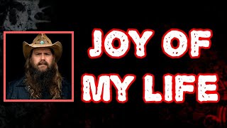 Chris Stapleton  Joy of My Life Lyrics [upl. by Obelia15]